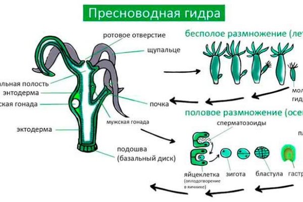 Кракен даркнет ссылка kraken link24 info