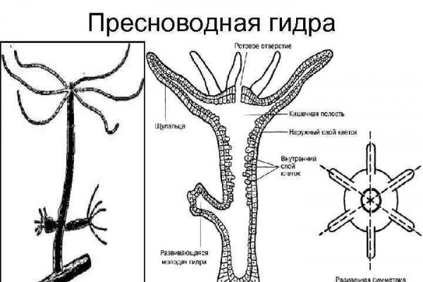 Кракен маркет darknet